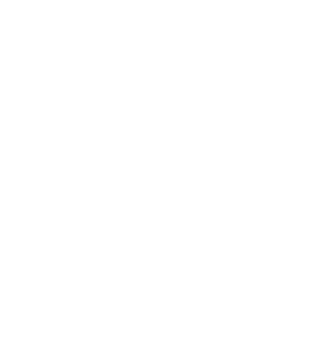User Form Icon